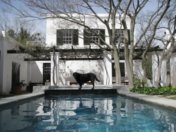 Akademie Street Guesthouses - Pool 